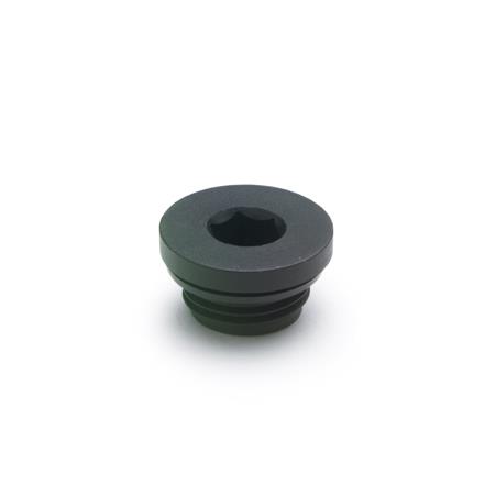 Otto Ganter Threaded Plug Plastic, GN 746